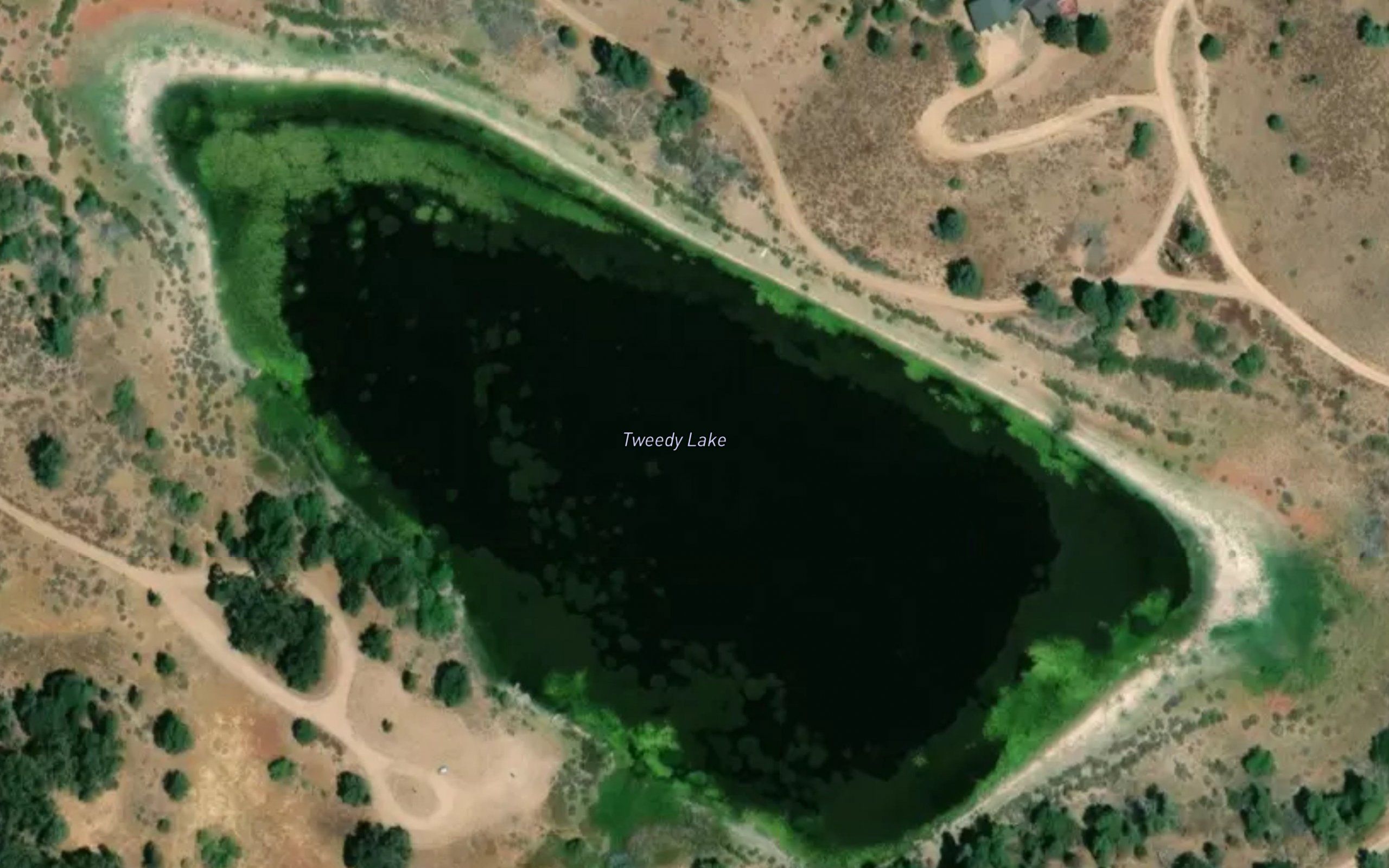 Tweedy Lake