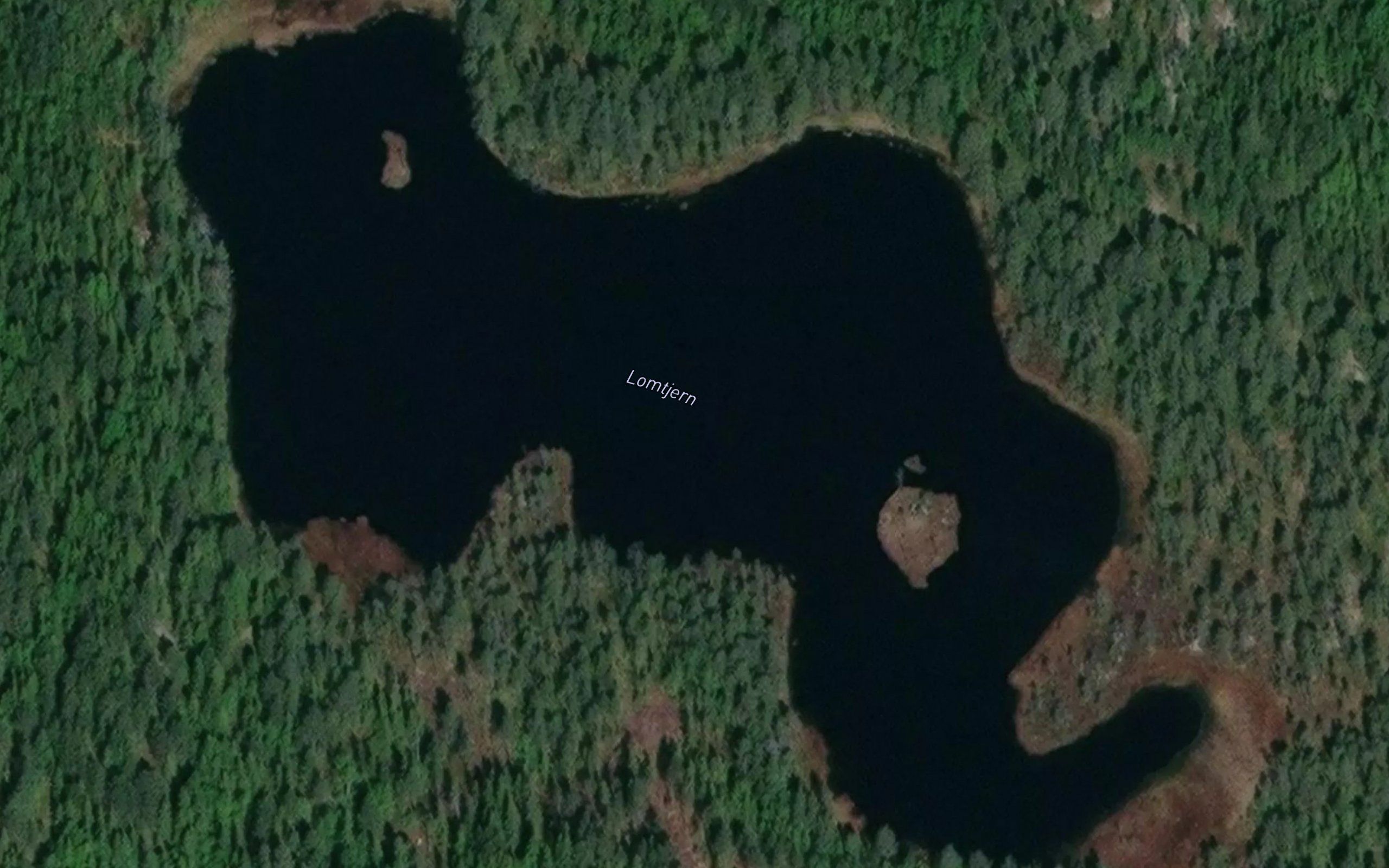 Lomtjern
