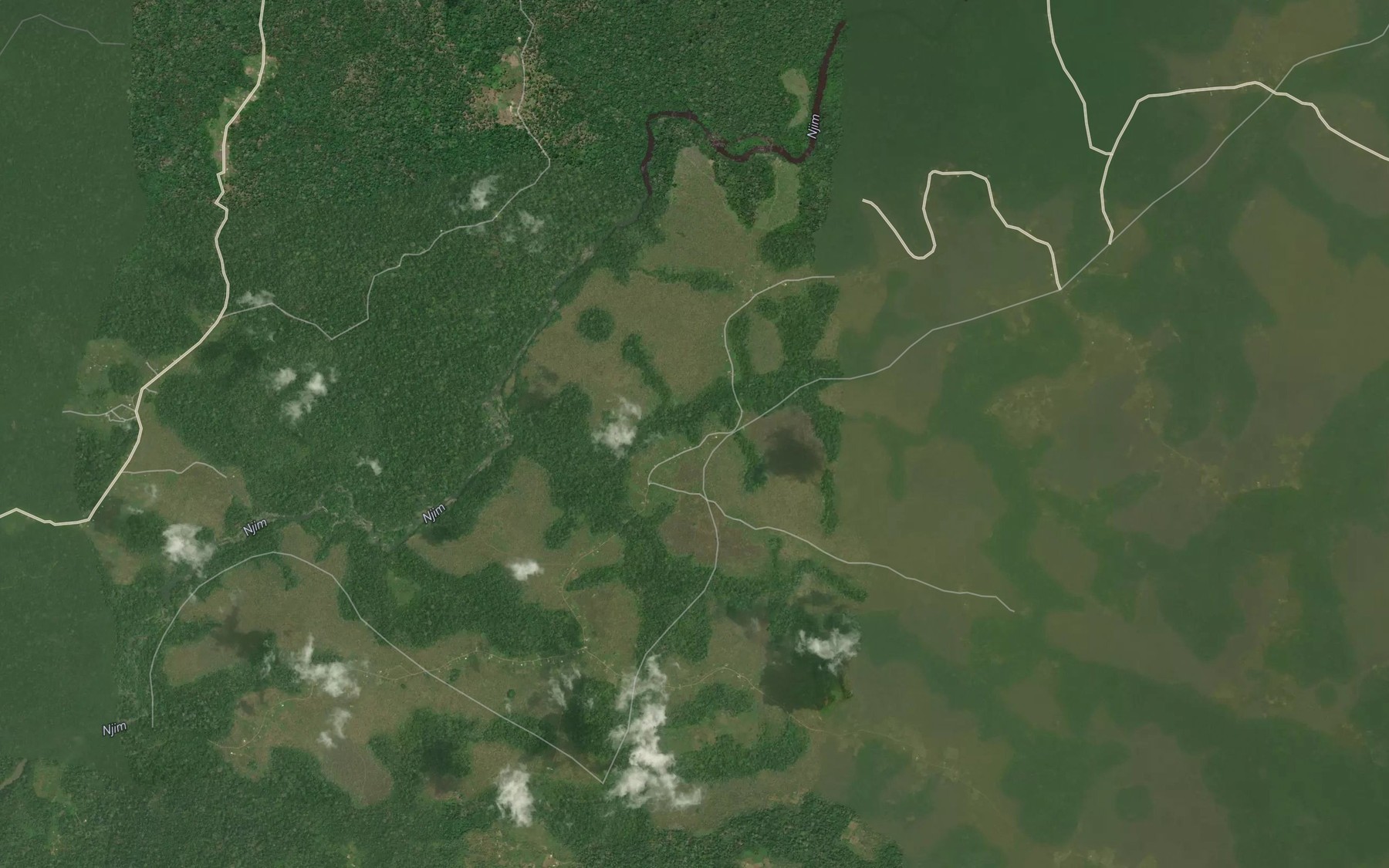 Satellite map of the Petit Kou