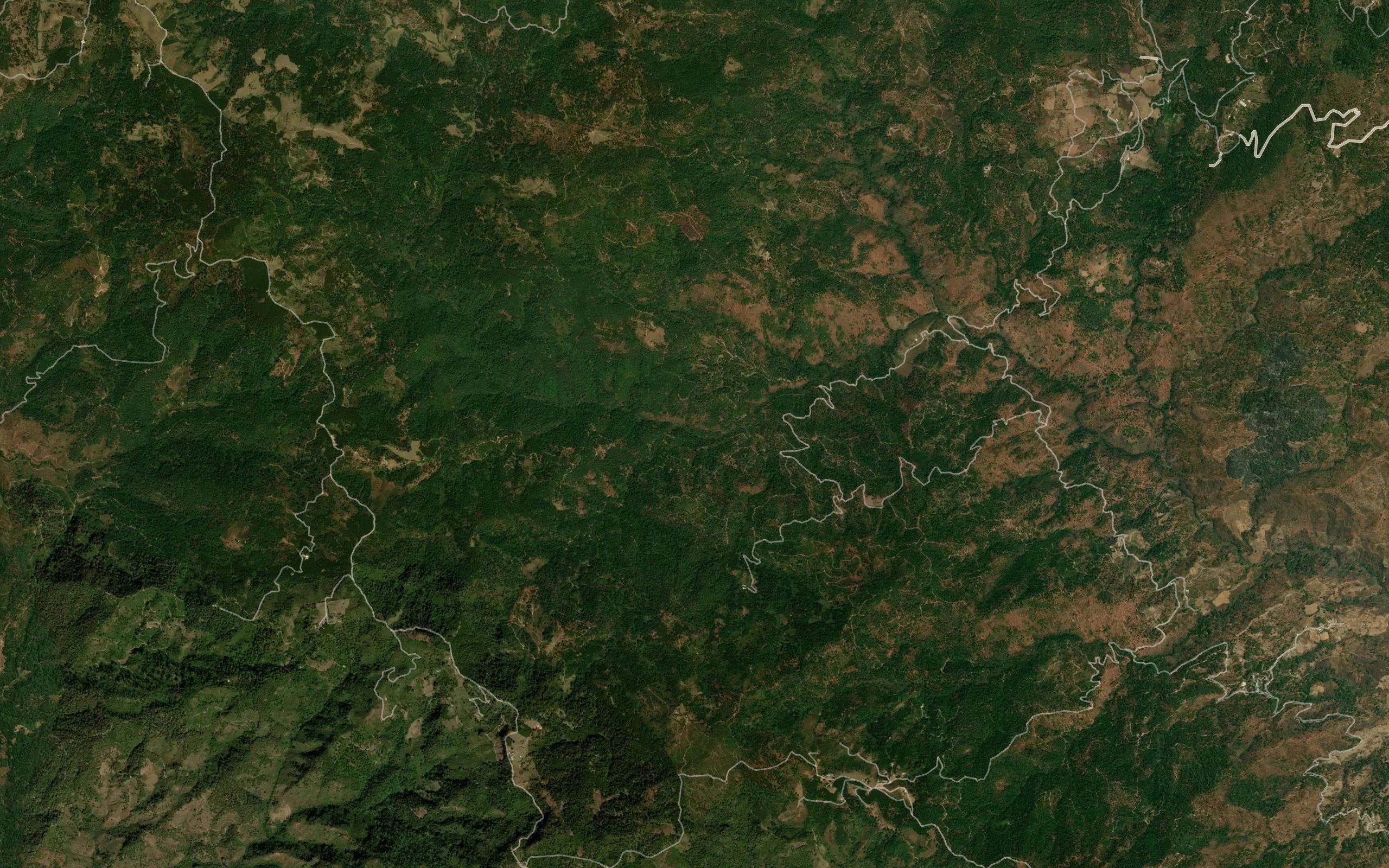 El Carrizal