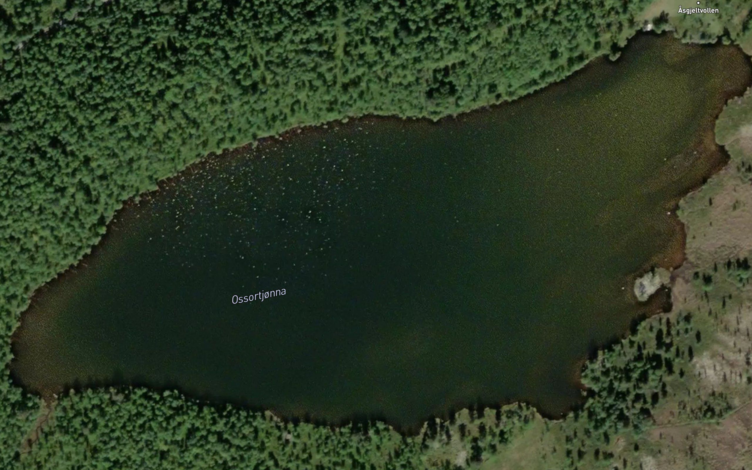 Ossortjorna