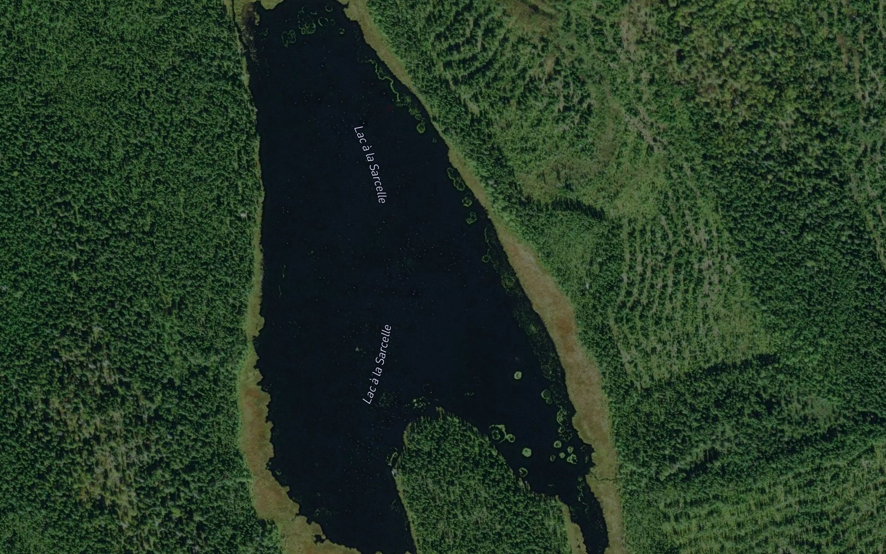 Satellite map of the Lac a la Sarcelle