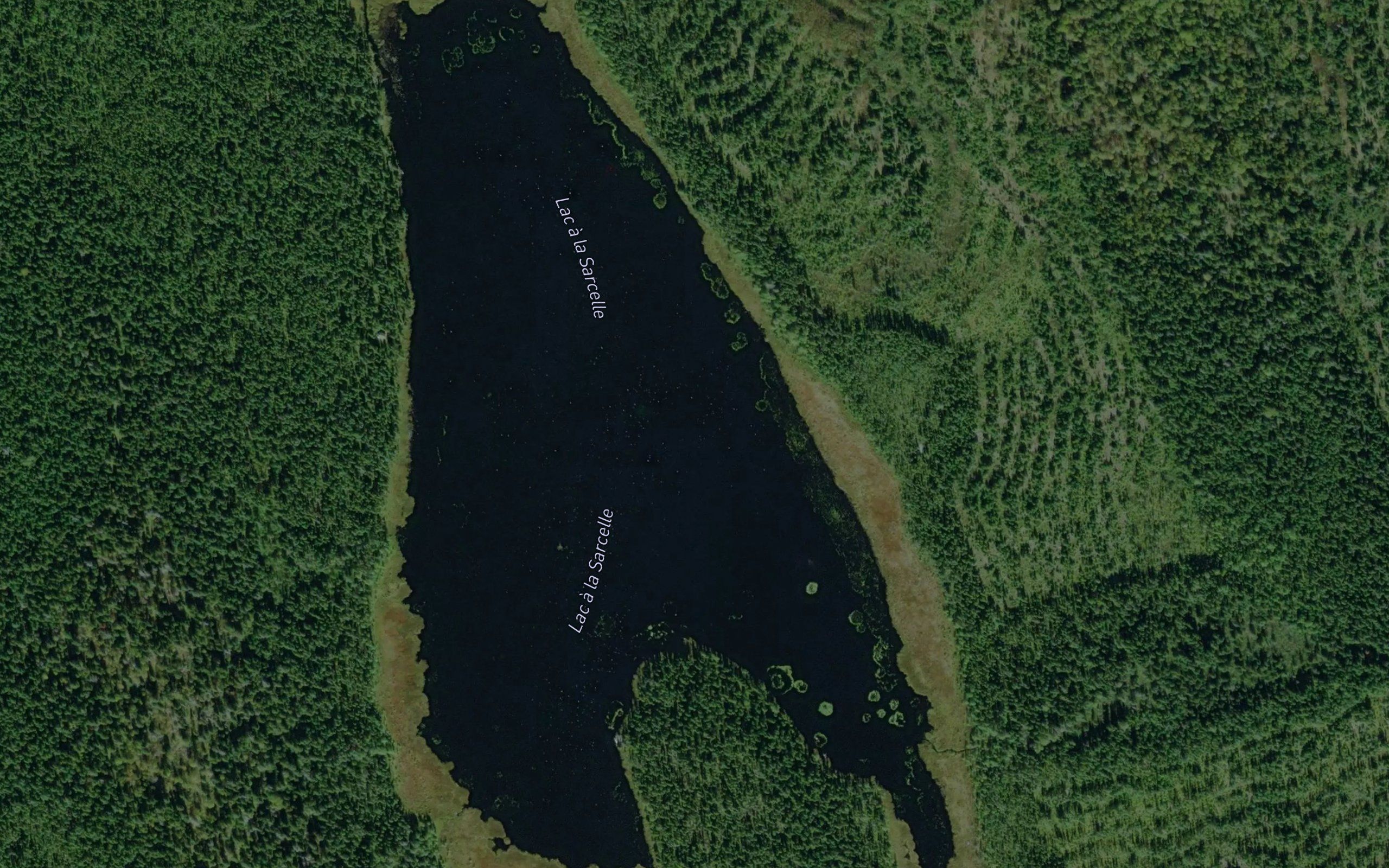 Lac a la Sarcelle