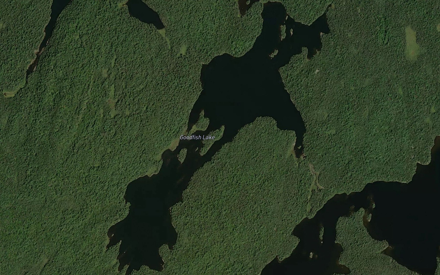 Satellite map of the Goodfish Lake