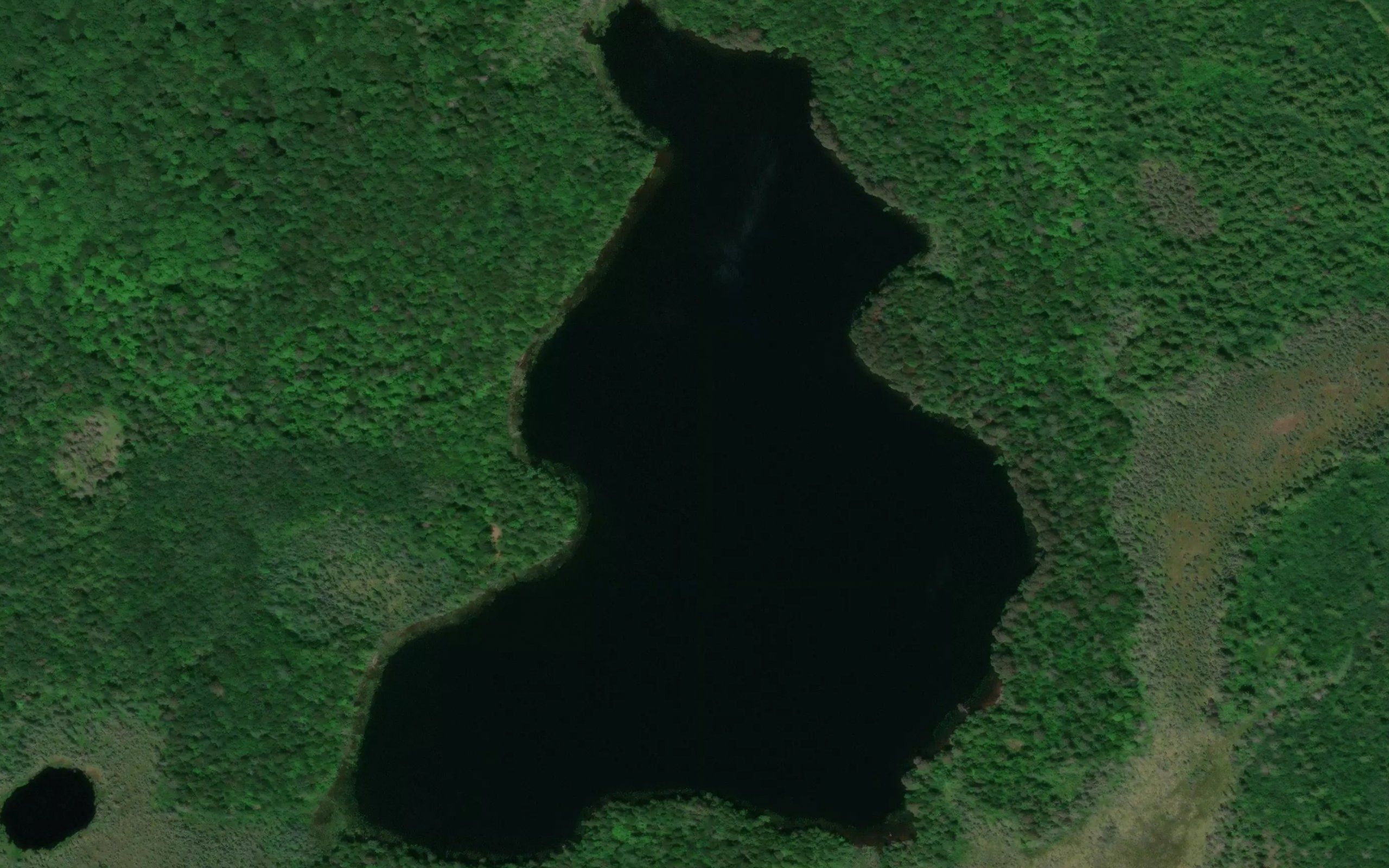 Signal Lake