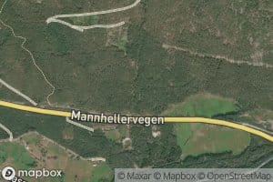 Amlaelvi