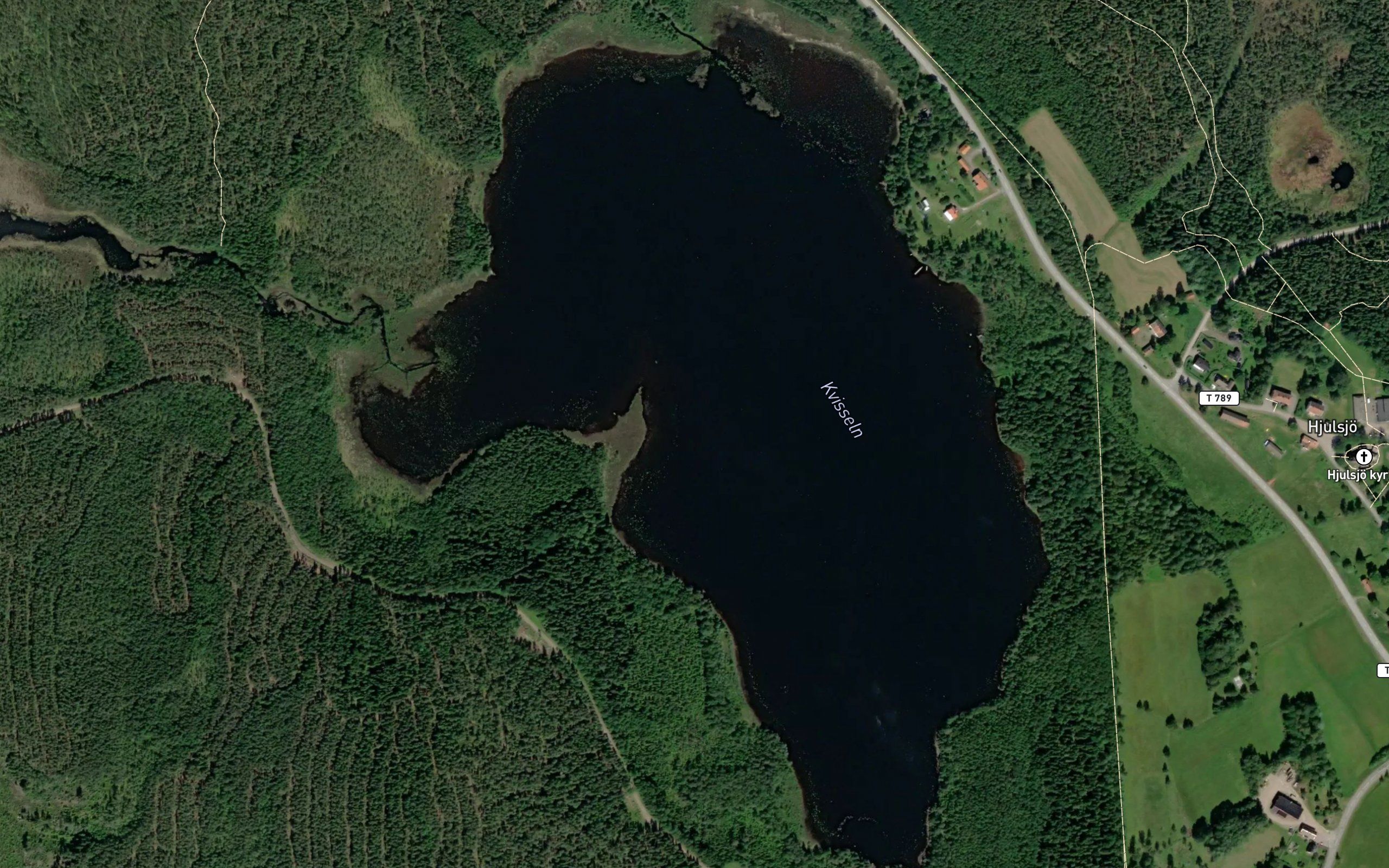 Kvisseln