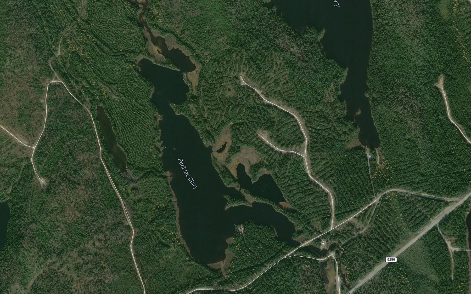 Satellite map of the Petit lac Clary