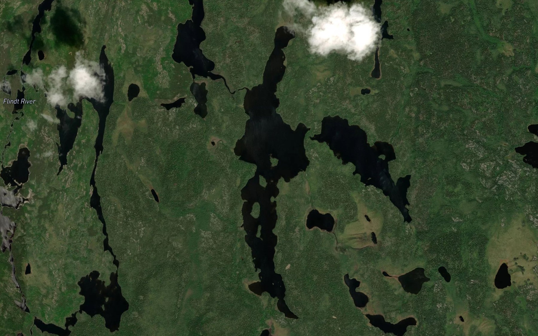 Satellite map of the Buchanan Lake