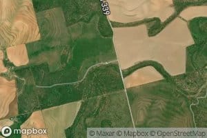 Buffalo Creek