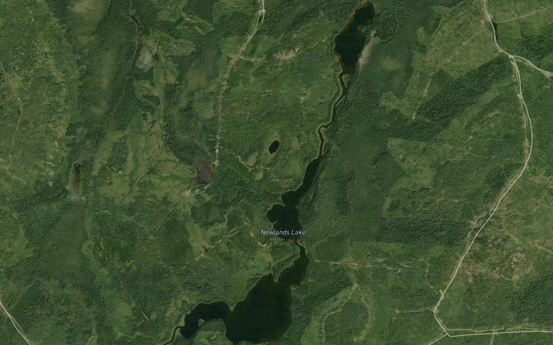 Satellite map of the Newlands Lake