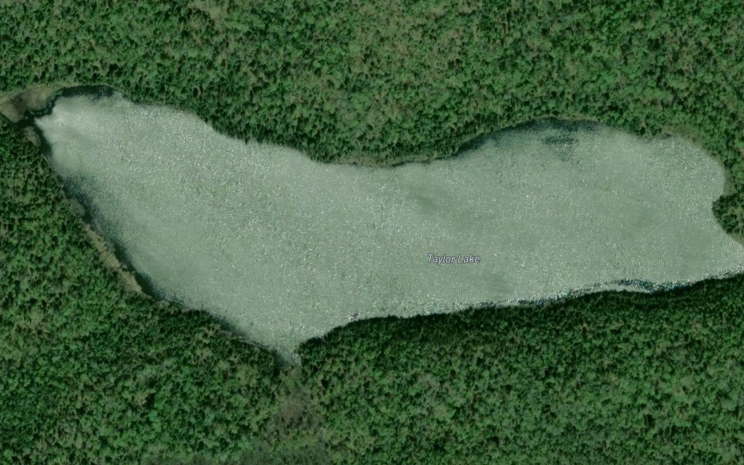 Taylor Lake