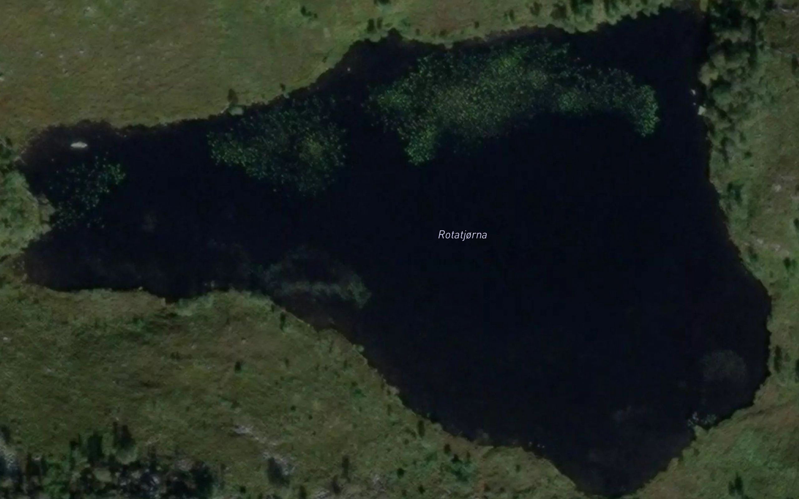 Rodatjorn