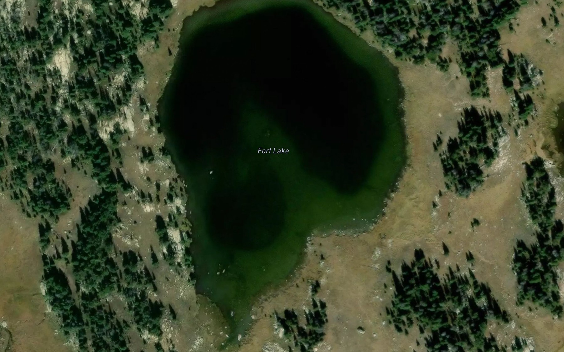 Satellite map of the Fort Lake