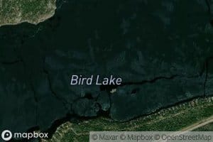 Bird Lake