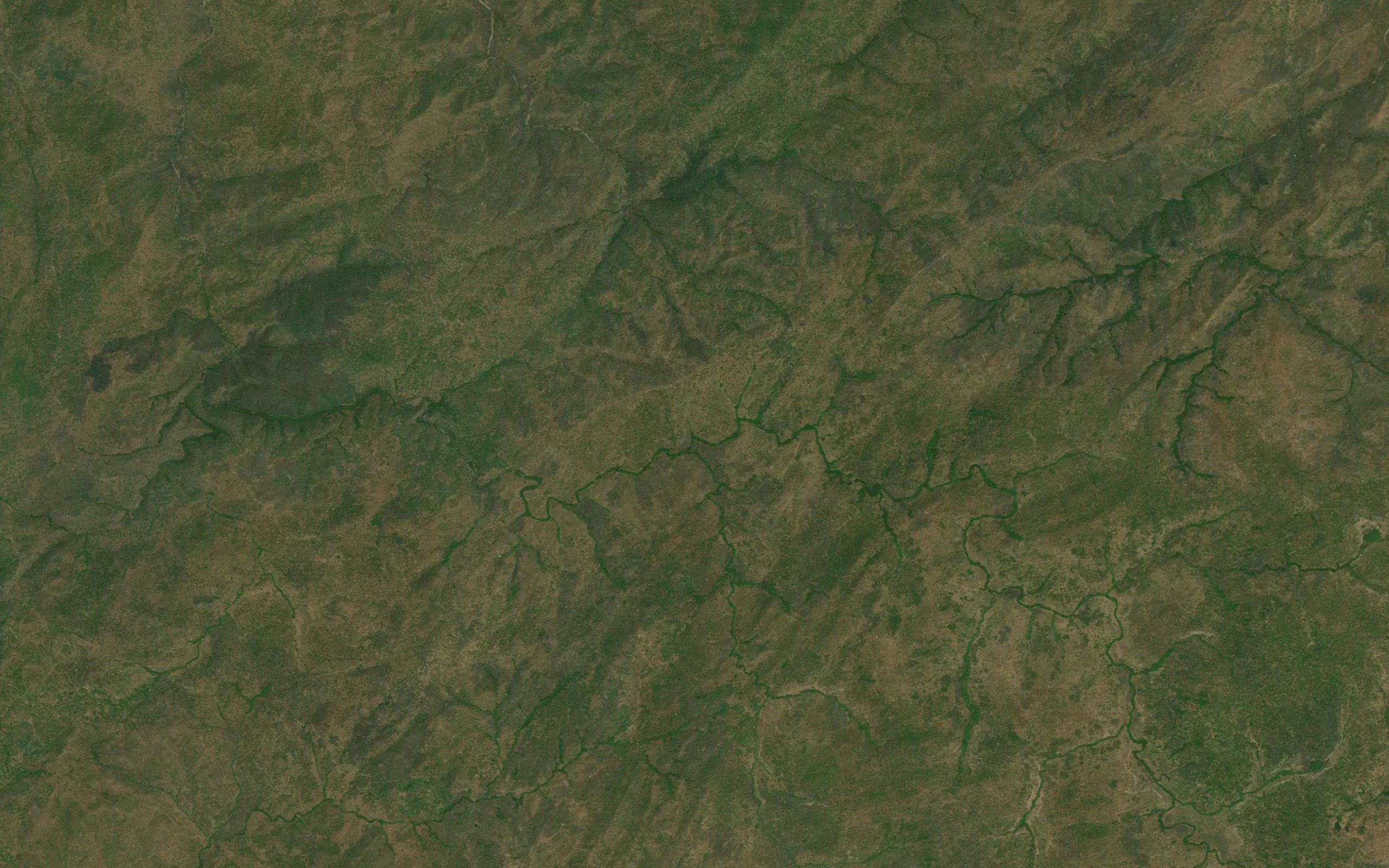Guin