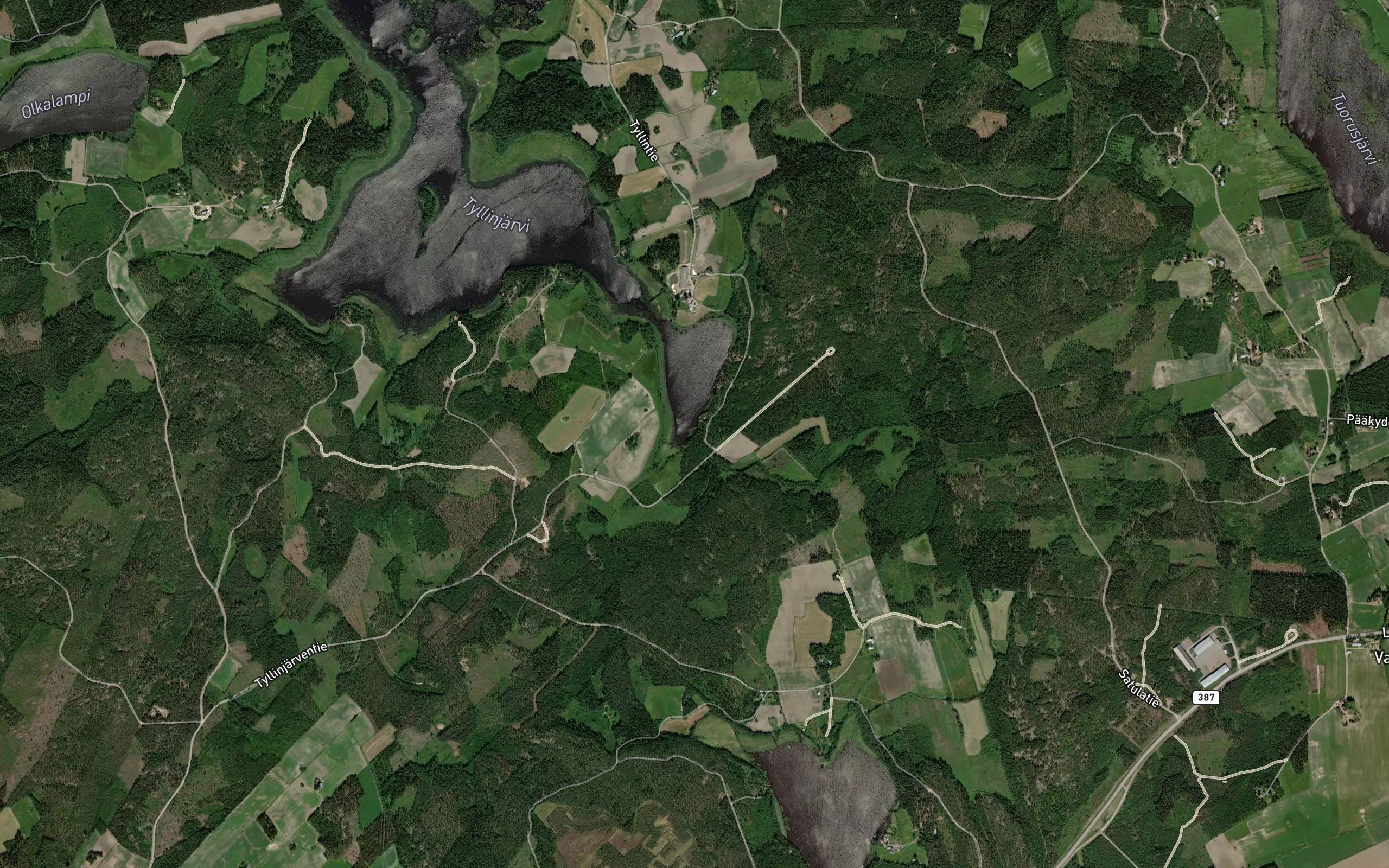 Nurmisaara