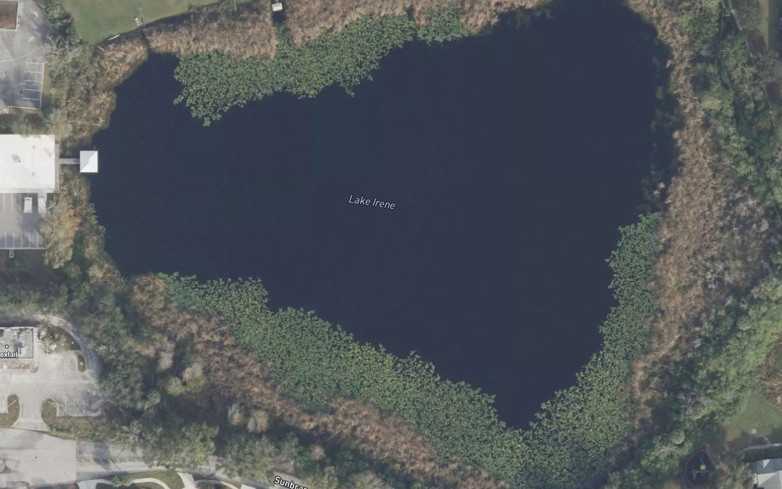 Lake Irene