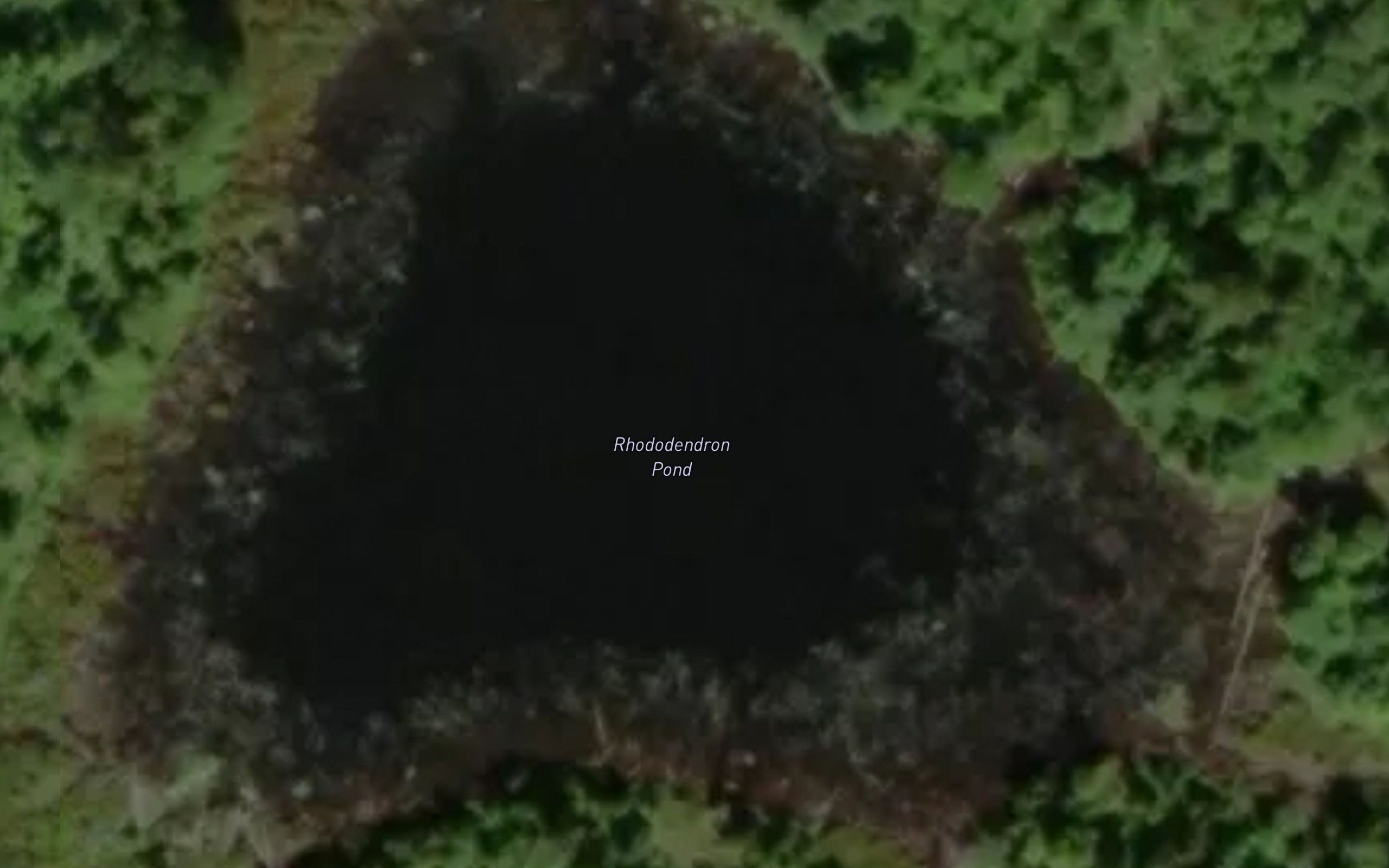 Rhododendron Pond