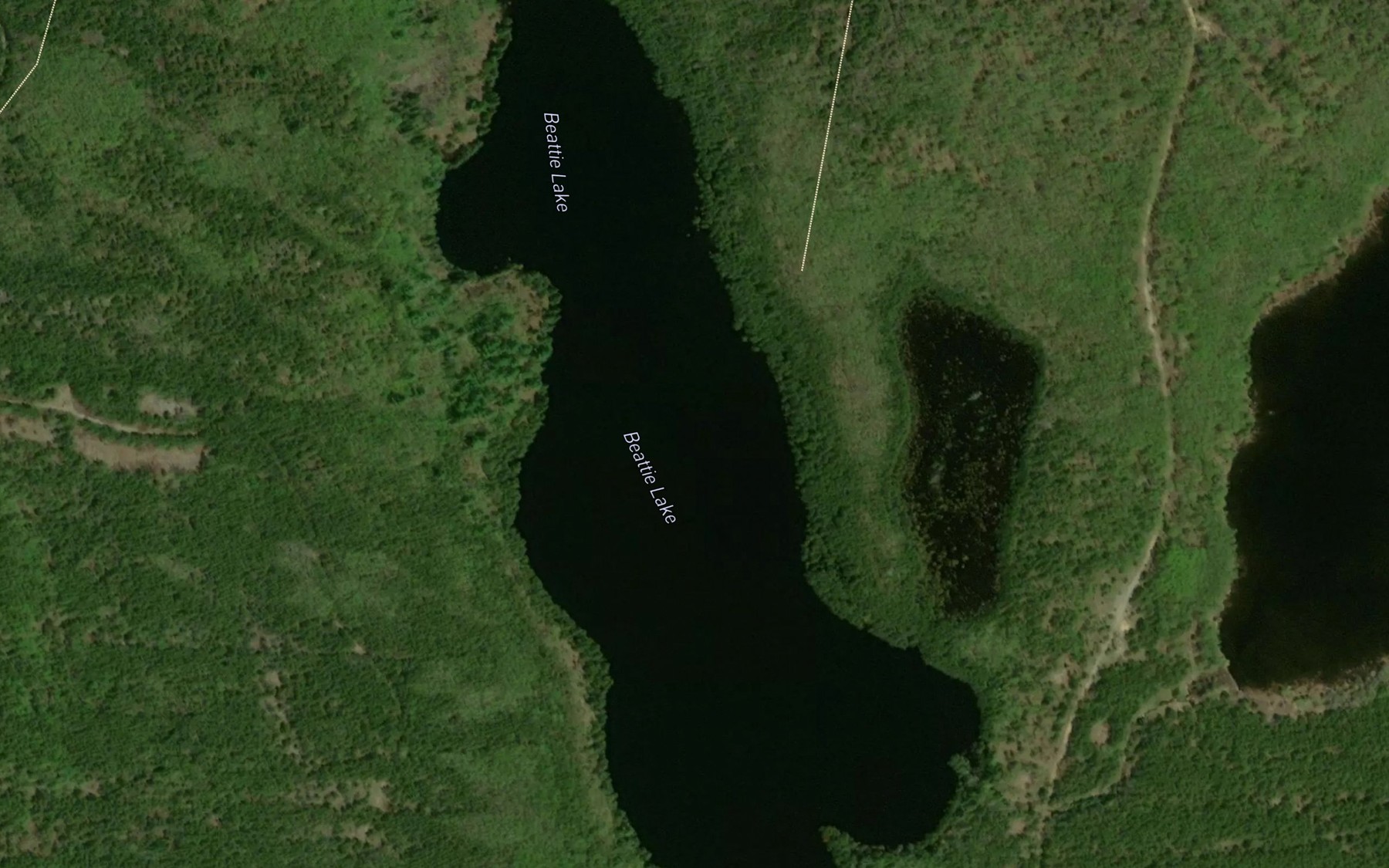 Satellite map of the Beattie Lake