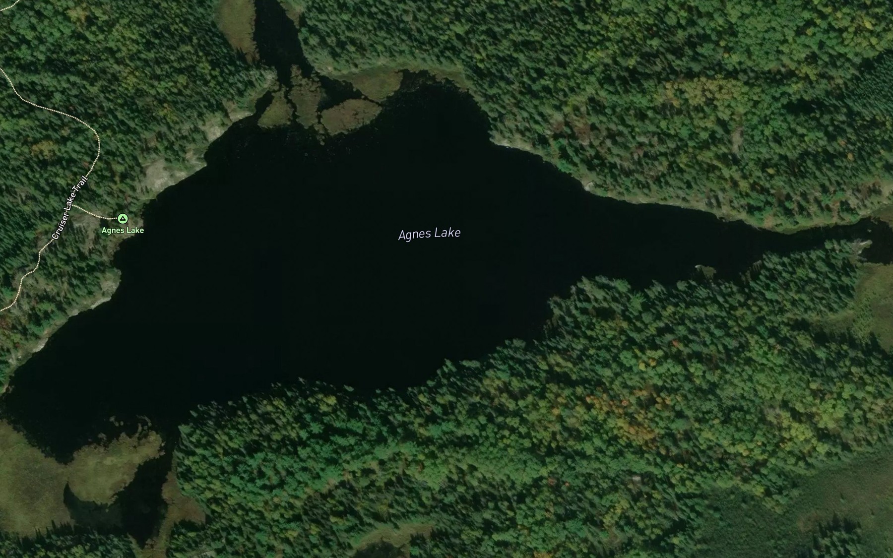 Satellite map of the Agnes Lake