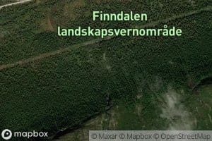 Reinskinngrovi