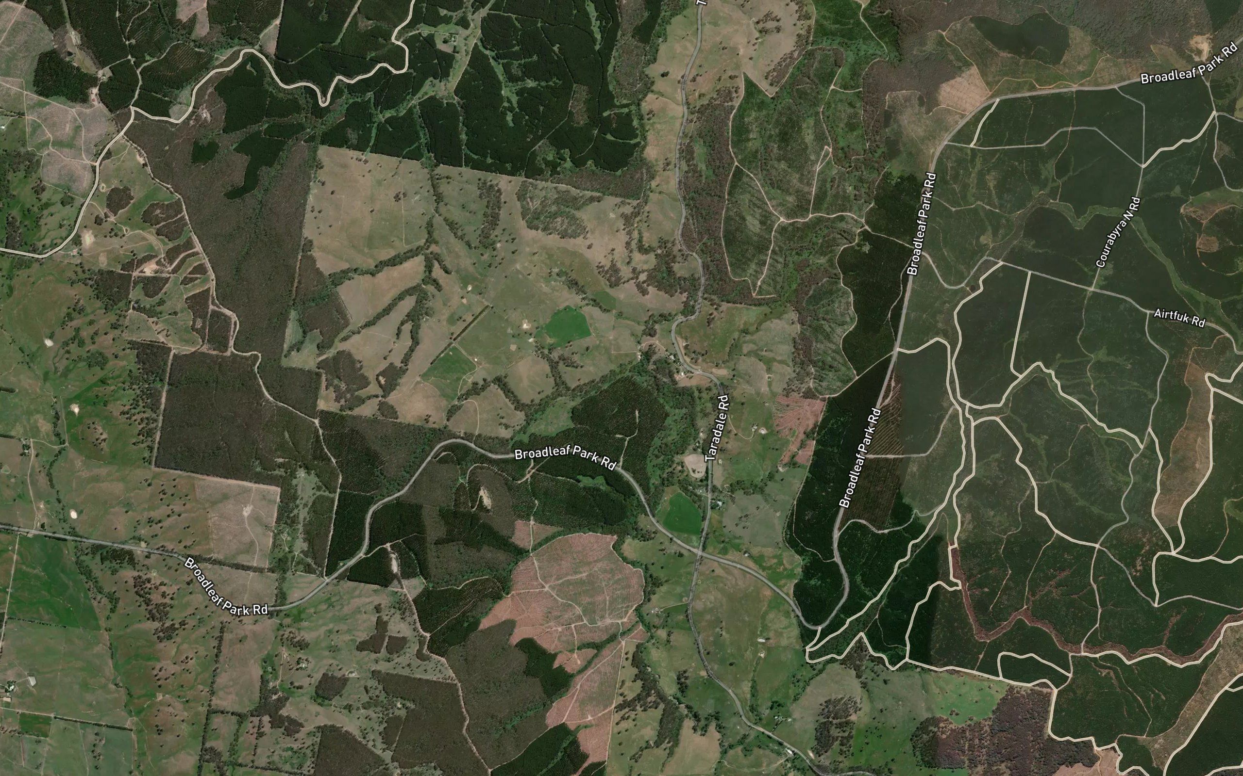 Wattle Gully