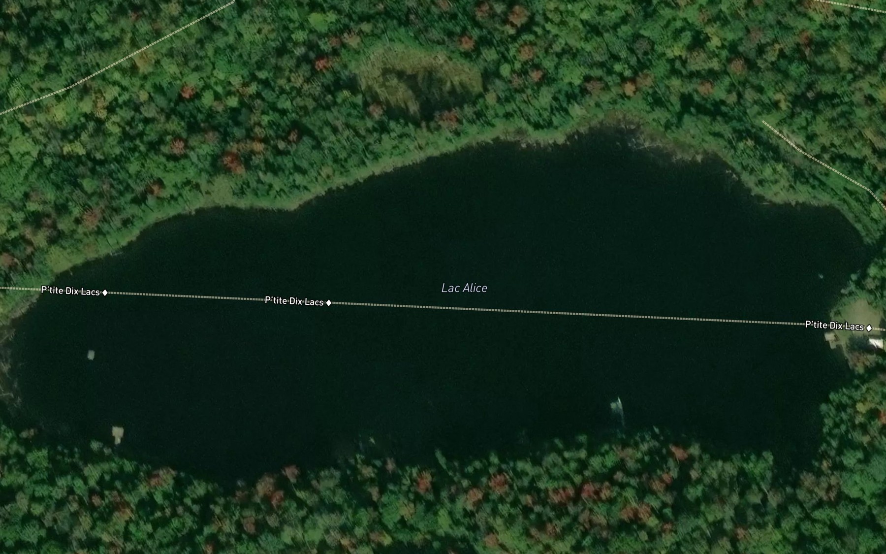 Satellite map of the Lac Alice