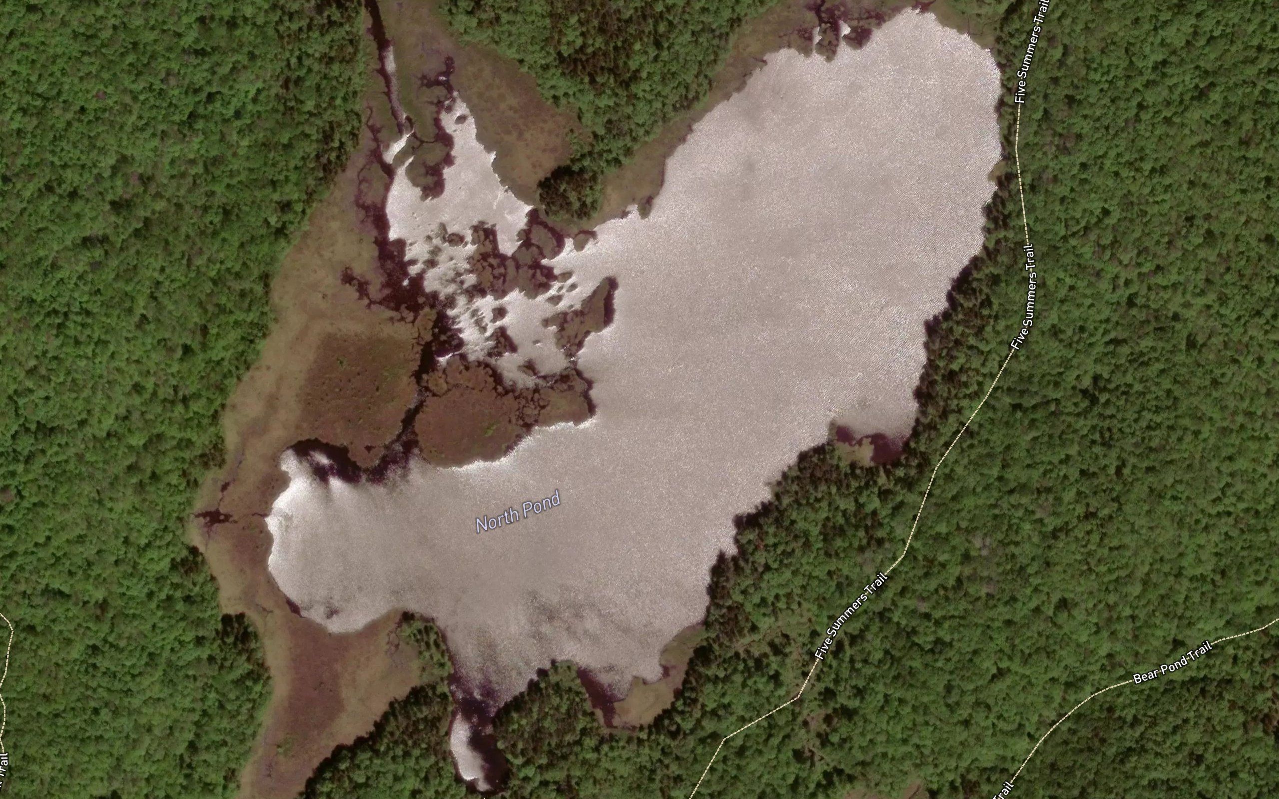 North Pond