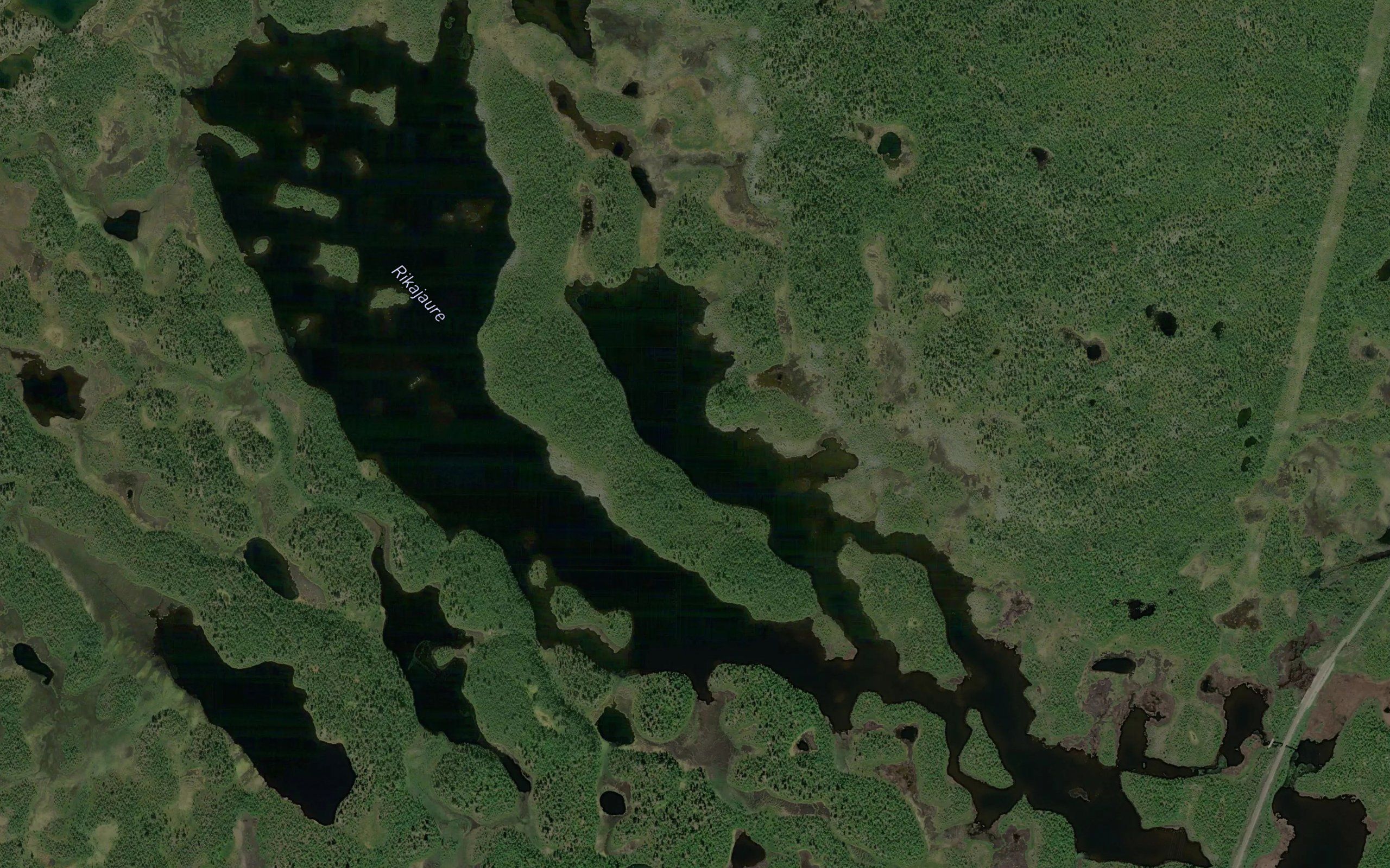 Rikajaure