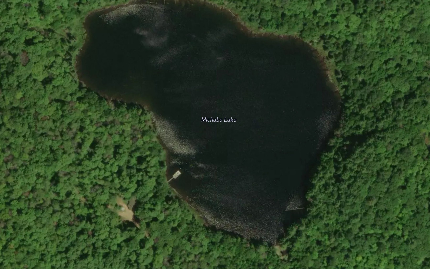Satellite map of the Michabo Lake