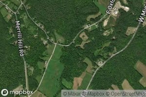 Middle Branch Bog Brook