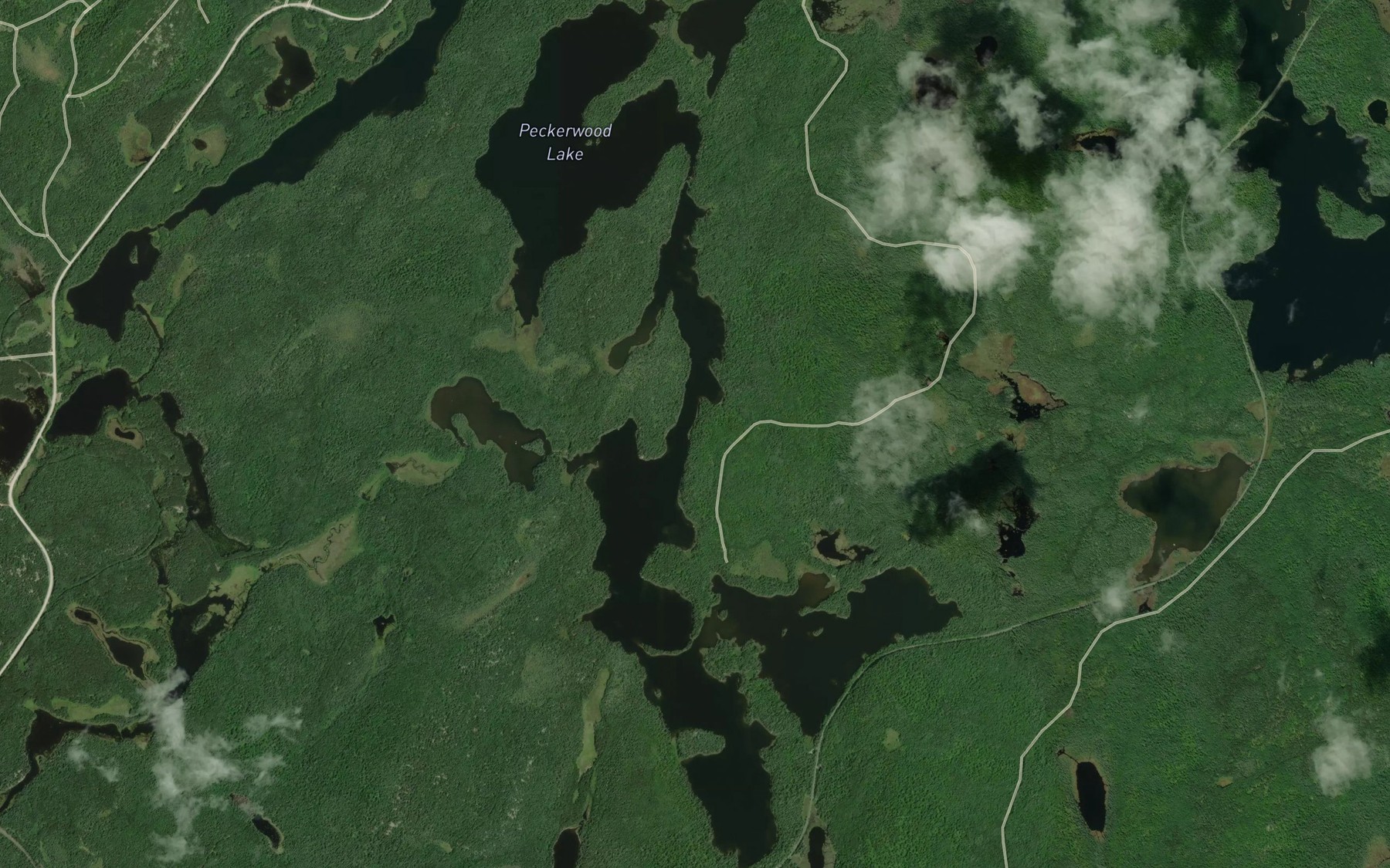 Satellite map of the Little Peckerwood Lake