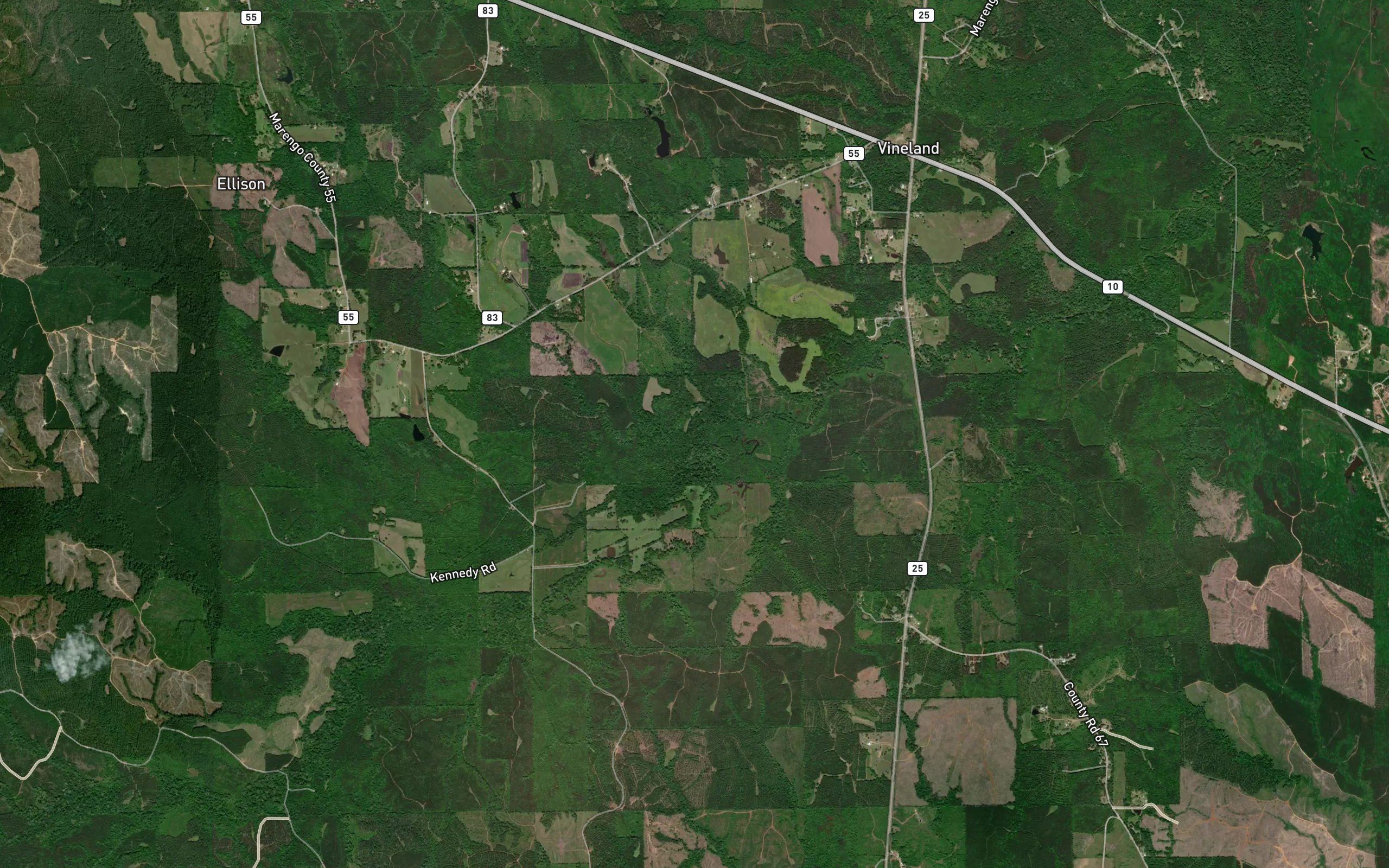 Piney Woods Creek