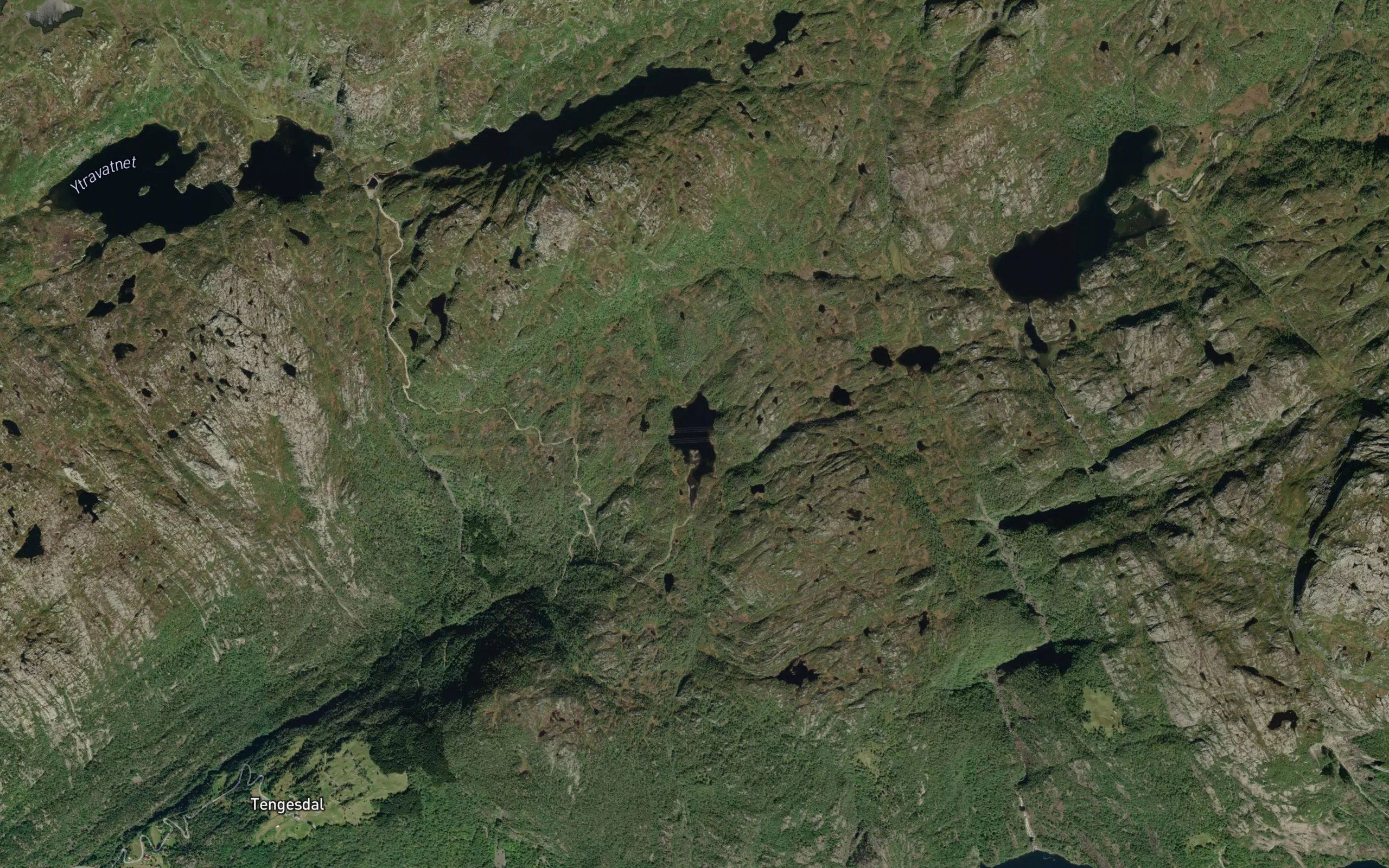 Tosketjorn
