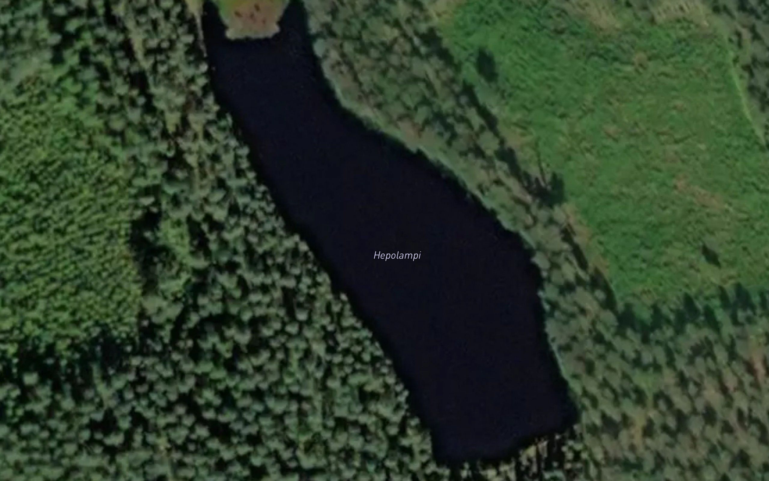 Hepolampi
