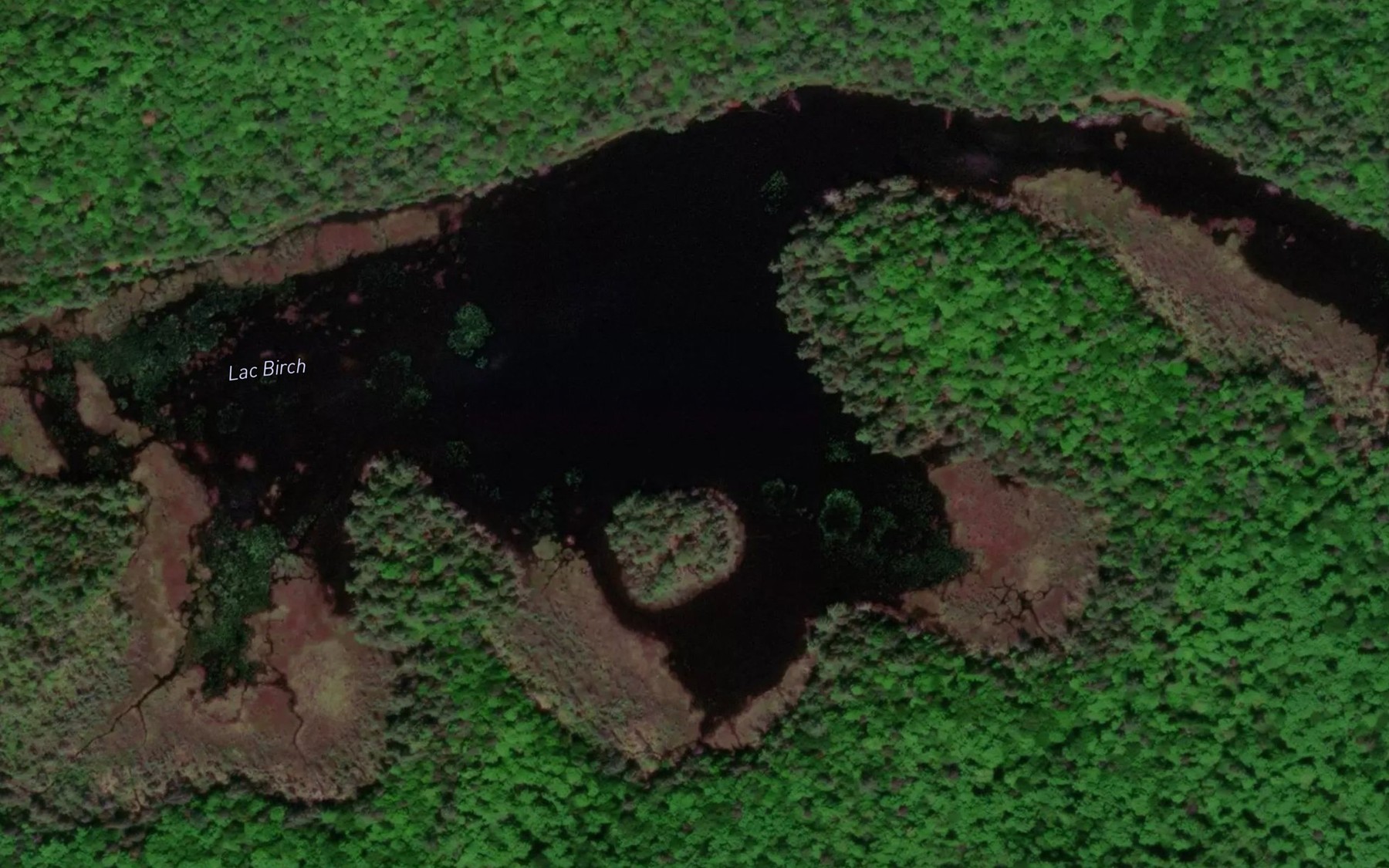 Satellite map of the Lac Birch