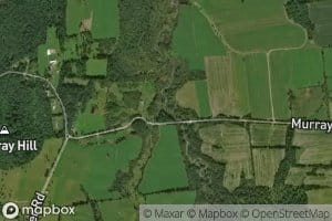 Little Lemon Fair River