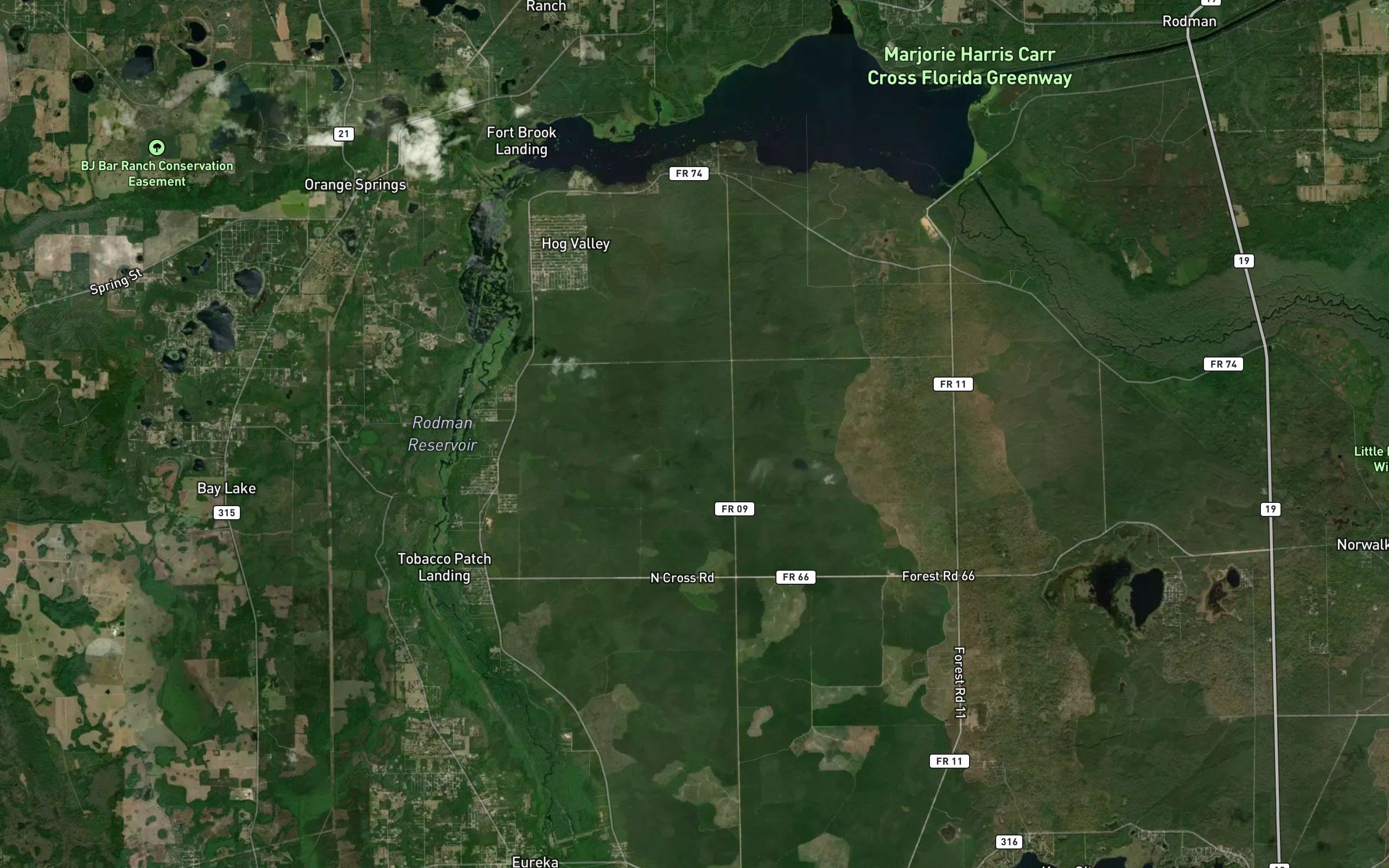 Lake Ocklawaha
