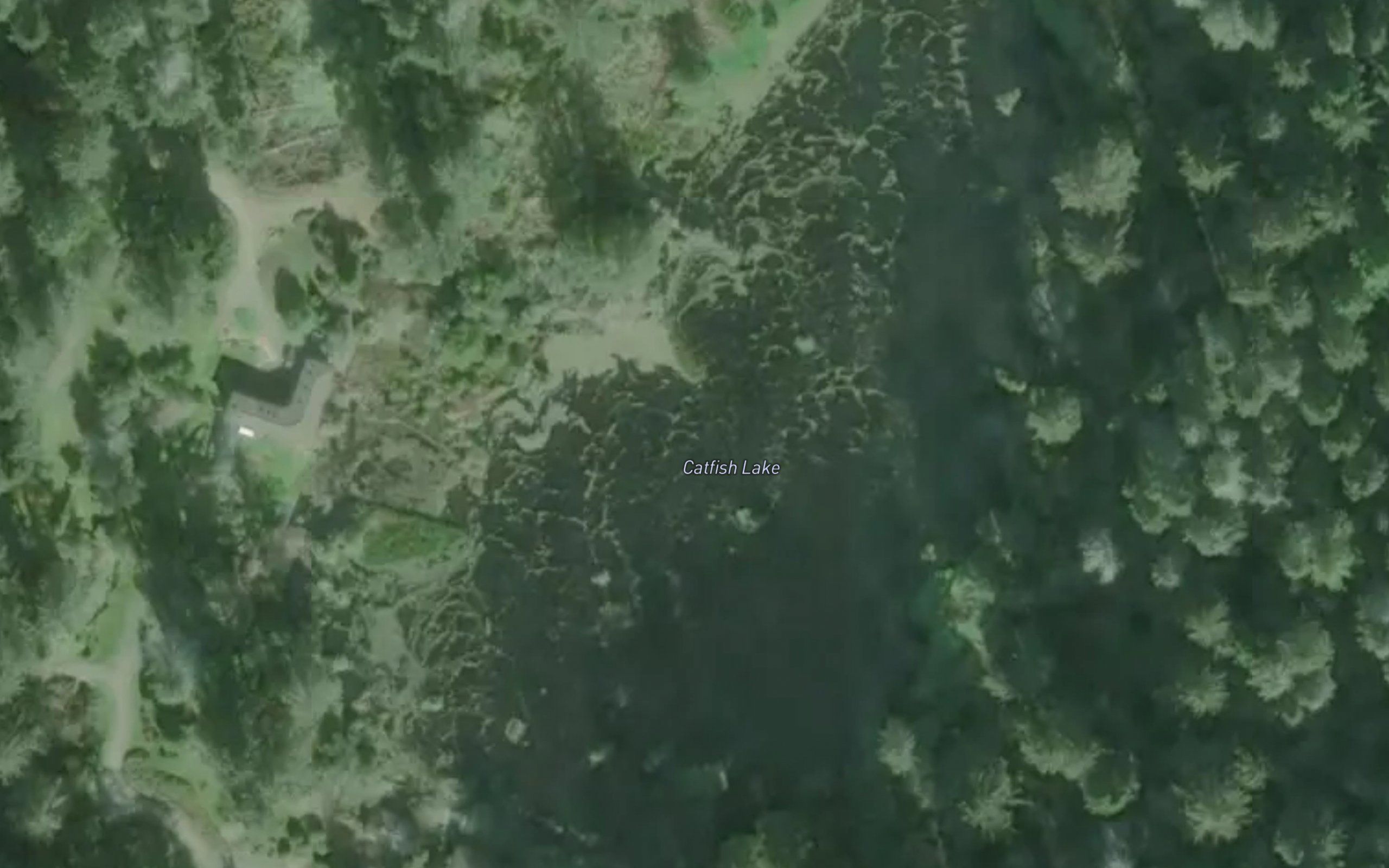 Catfish Lake