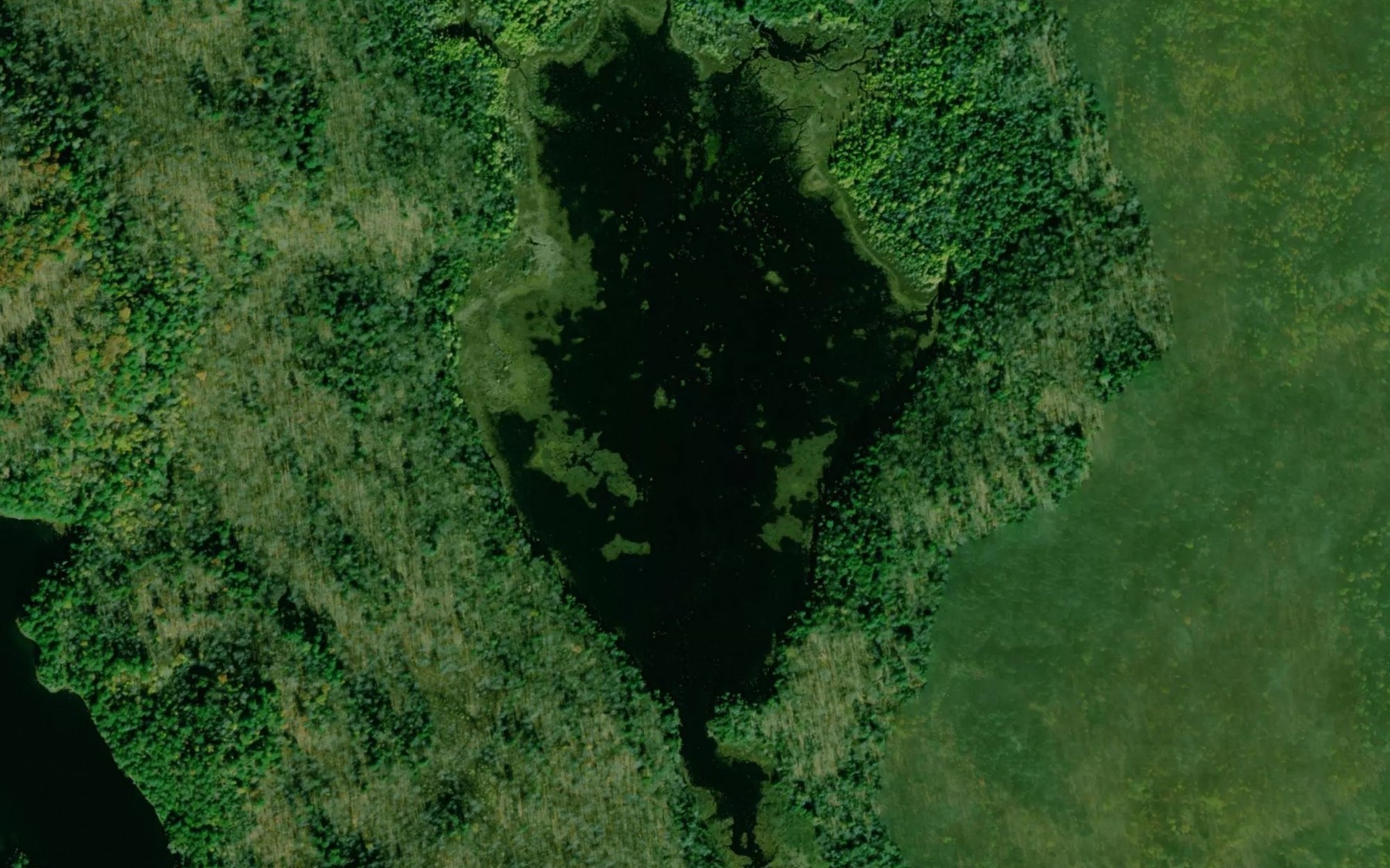 Satellite map of the Rat Lake