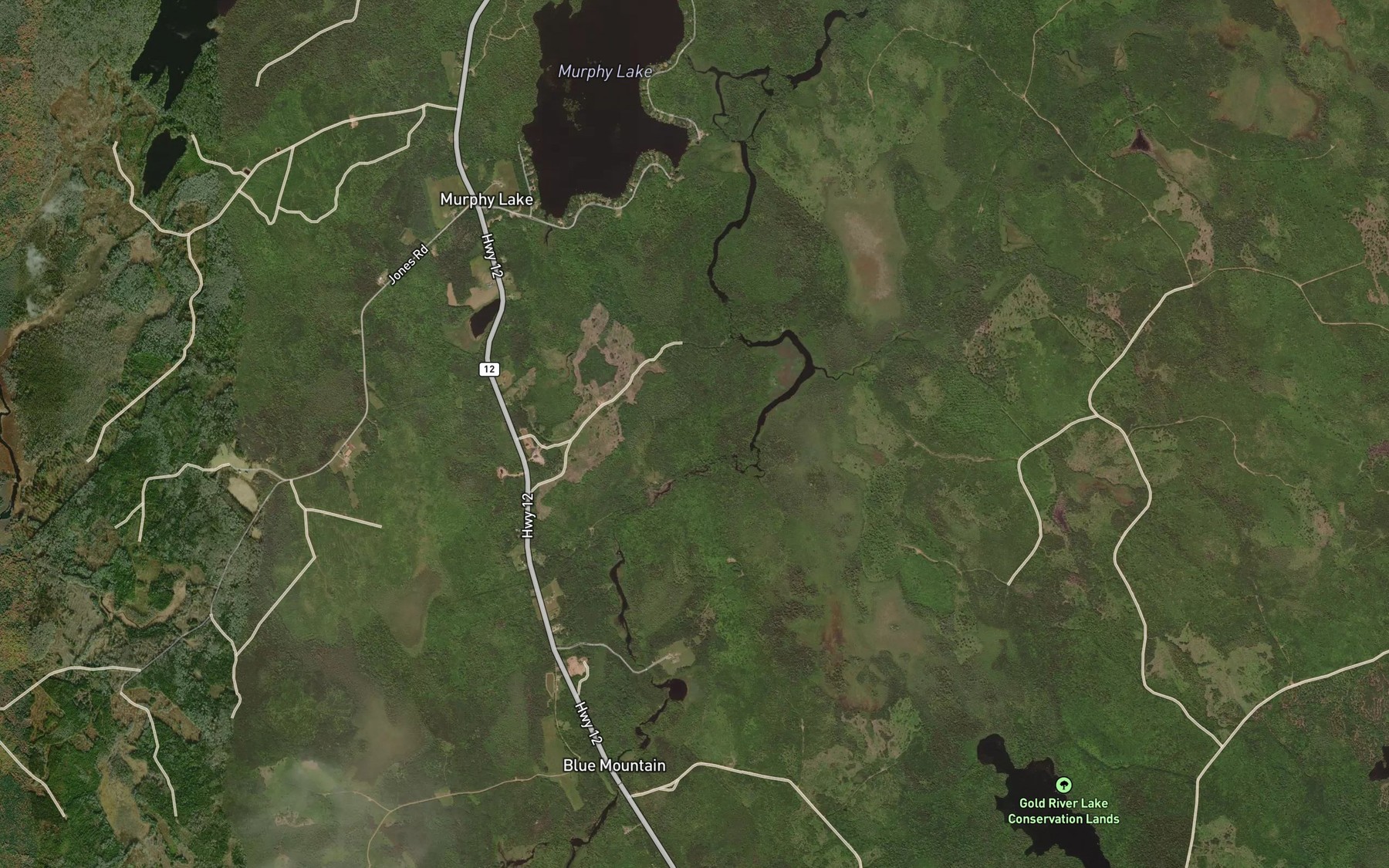 Satellite map of the McGarvies Run