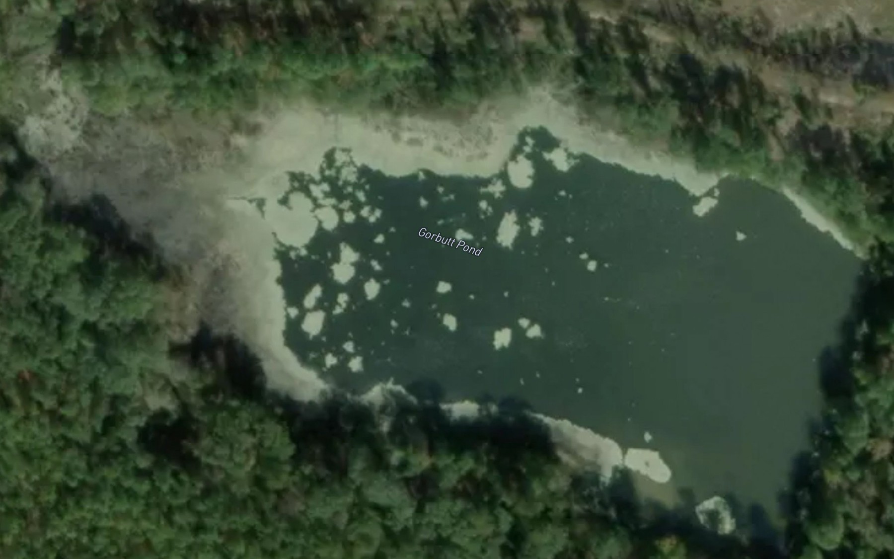 Satellite map of the Gorbutt Pond