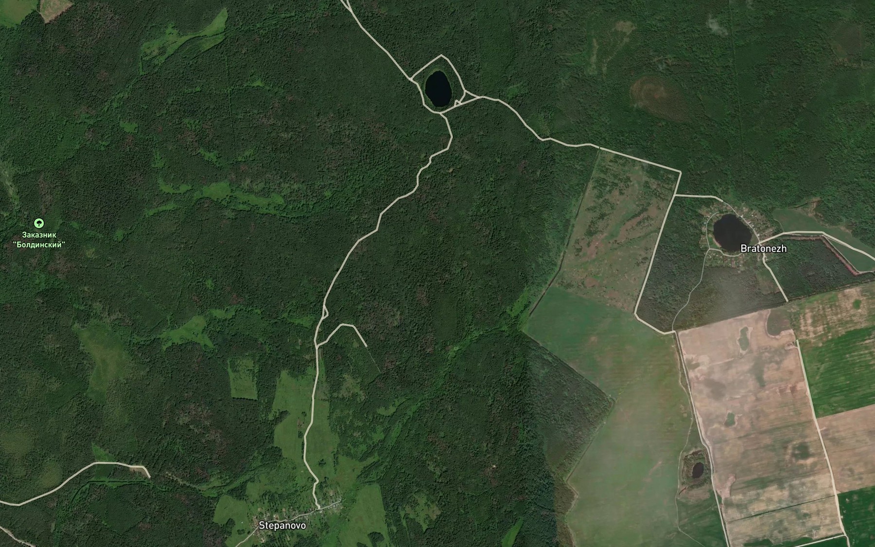 Satellite map of the Ozero Kopninskoye