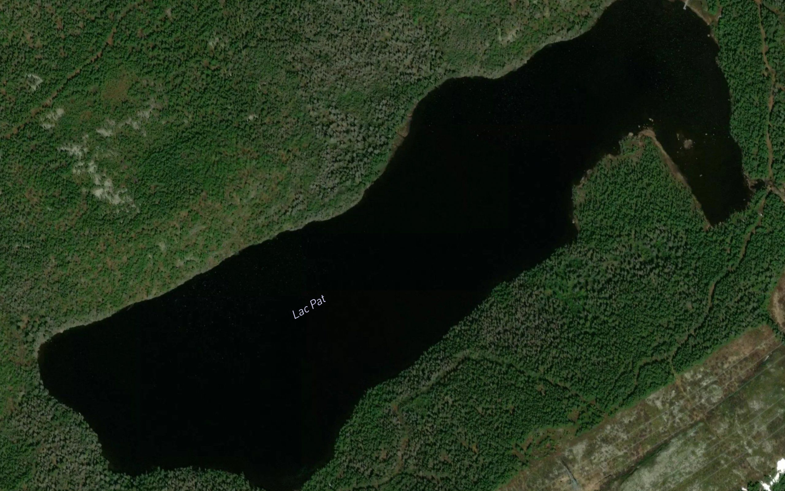 Lac Pat