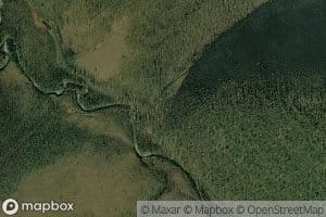 Watson Fork