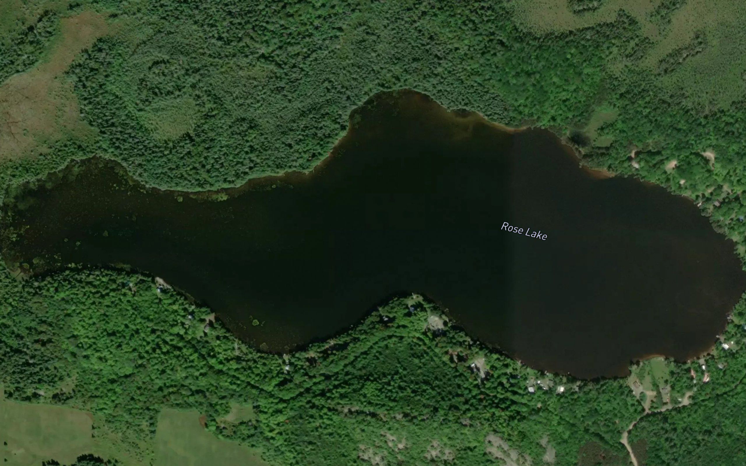 Rose Lake