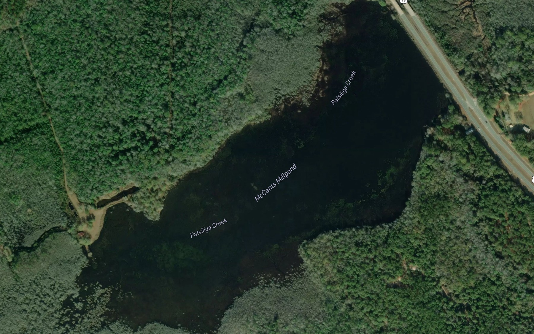 Satellite map of the McCants Millpond