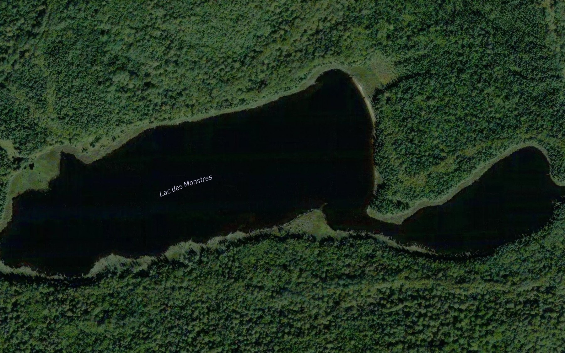 Satellite map of the Lac des Monstres