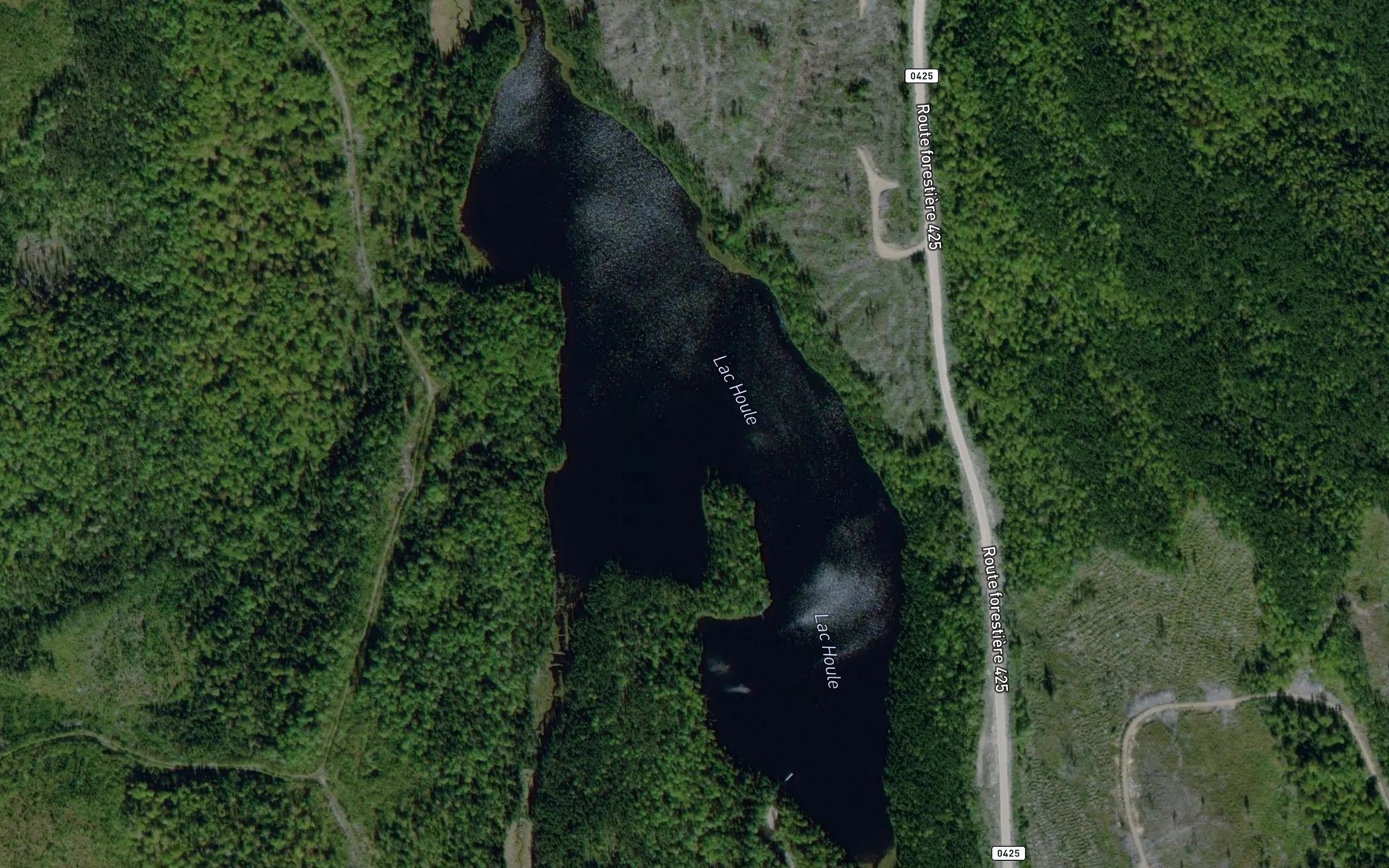 Satellite map of the Lac Houle